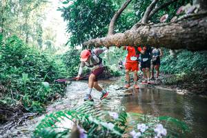 BIB: 
                            <button type="button" onclick="openModal(25449514)" class="btn btn-primary btn-sm float-right btn-popup" data-toggle="modal" data-target=".modal-high-quality">
                        <i class="fas fa-shopping-cart"></i> Add to Cart
                    </button>
                                            <button type="button" onclick="isThisMe(25449514, true)" class="btn btn-success btn-sm float-right btn-popup btn-isme hidden" data-toggle="tooltip" data-placement="bottom" title="นี่คือรูปของคุณใช่ไหม คลิกที่นี่เพื่อเอาเข้าอัลบั้ม">
                        <i class="fas fa-plus"></i> Add to album
                    </button>
                    <button type="button" onclick="isThisMe(25449514, false)" class="btn btn-warning btn-sm float-right btn-popup btn-isnotme hidden">
                        <i class="fas fa-ban"></i> Remove from album
                    </button>